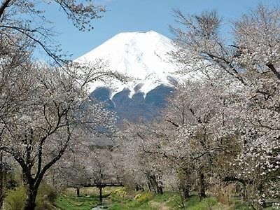 Oshino Pension Sumomo No Ki المظهر الخارجي الصورة