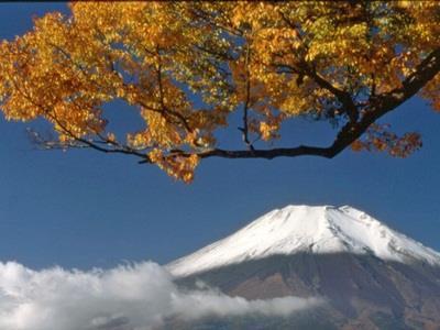 Oshino Pension Sumomo No Ki المظهر الخارجي الصورة
