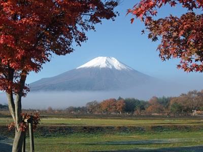 Oshino Pension Sumomo No Ki المظهر الخارجي الصورة